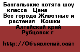 Бангальские котята шоу класса › Цена ­ 25 000 - Все города Животные и растения » Кошки   . Алтайский край,Рубцовск г.